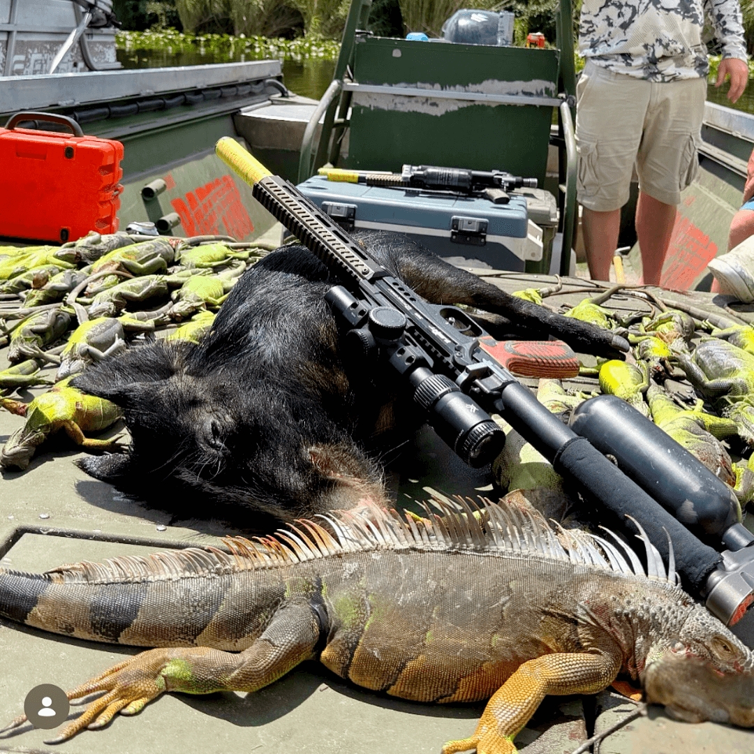 Florida Iguana Control Experts Cite EDgun West Leshiy 2 as a Leading Airgun Platform