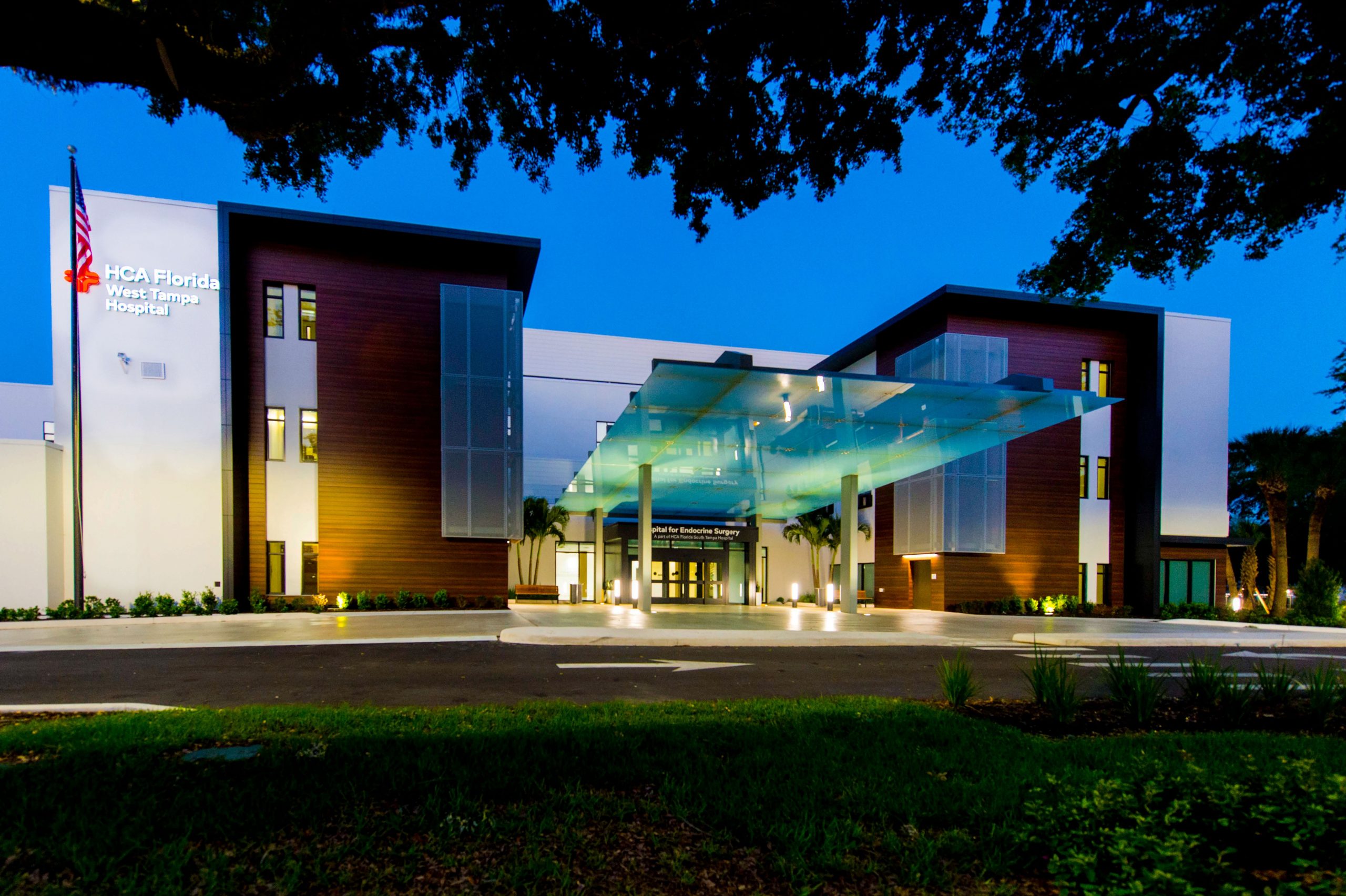 Hospital for Endocrine Surgery Celebrates Four Years of Record-Breaking Growth and Global Impact