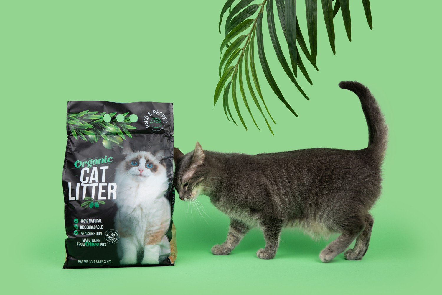 Paco & Pepper Highlights Lab-Confirmed 0% Dust Olive Pit Litter as Demand Grows for Cleaner, Natural Cat Care