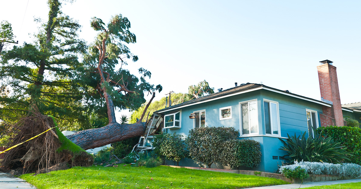 States with the Highest Climate Risk Insurance Premiums